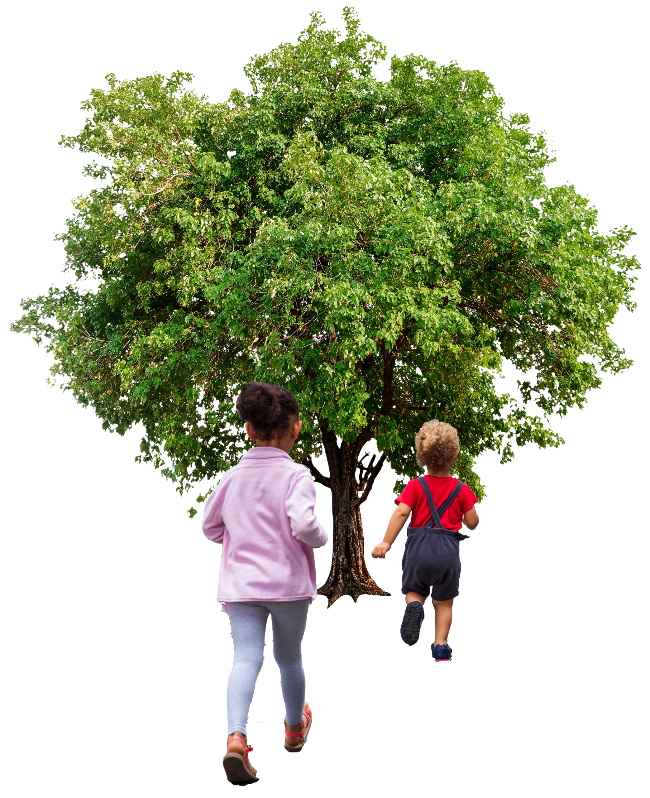 visuel home page site printemps